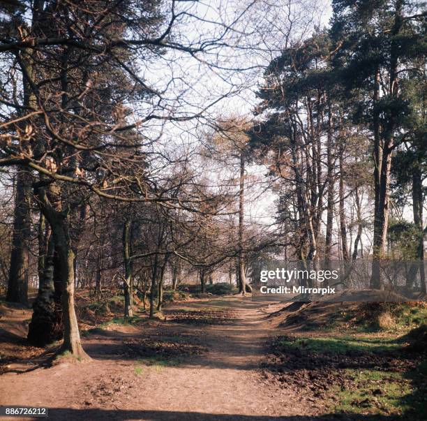 Alderley Edge, Cheshire, April 1974.