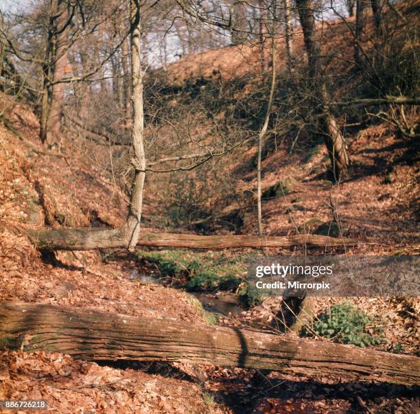 Alderley Edge, Cheshire, April 1974.