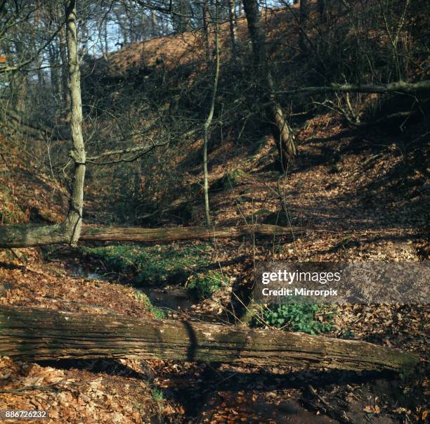 Alderley Edge, Cheshire, April 1974.