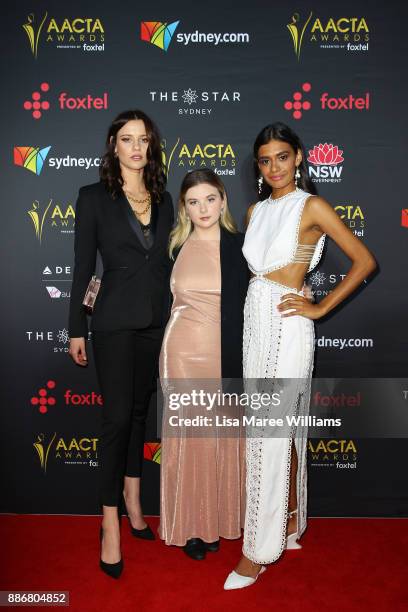 233 Ruby Lily Stock Photos, High-Res Pictures, and Images - Getty Images