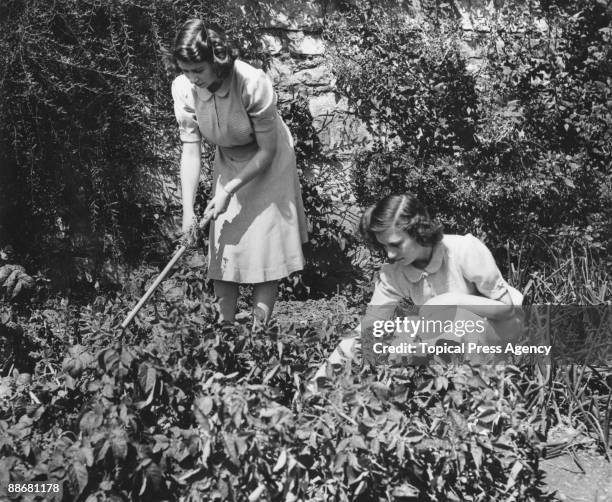 Princess Elizabeth and her younger sister Princess Margaret Rose working on their allotment in the grounds of Windsor Castle, 11th August 1943. They...