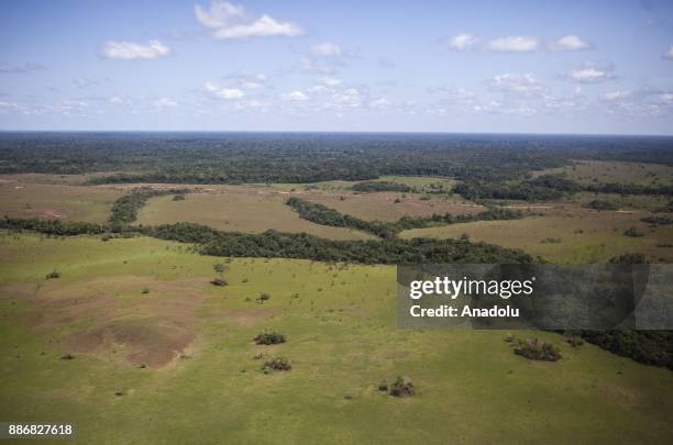 View of the Vichada Jungle, which is located in the eastern plains of Colombia, in the Orinoqua Region within the Orinoco river basin bordering the...