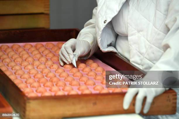 Employees prepare pigs made of fresh marzipan at the headquarters of the traditional confectionary maker JG Niederegger GmbH in Luebeck, Germany, on...