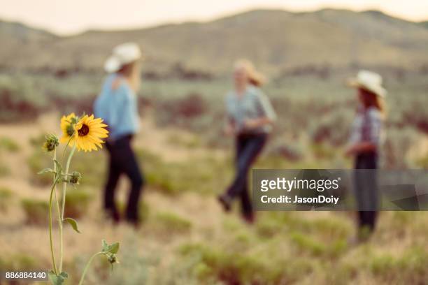 cowgirls dancing in the countryside - line dancing stock pictures, royalty-free photos & images