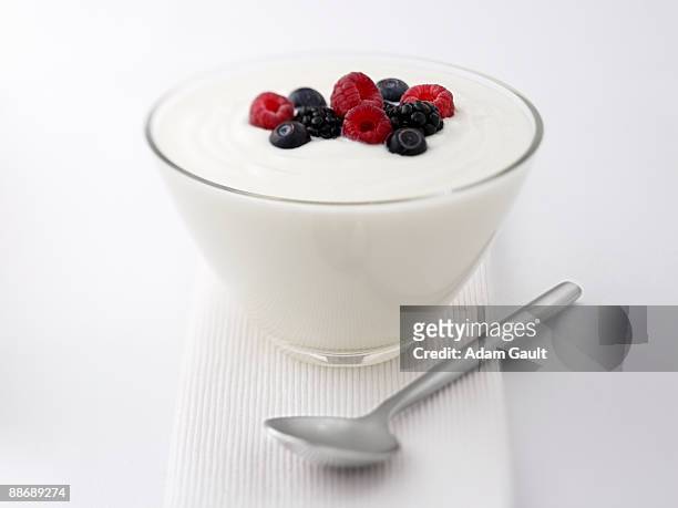 close up of  yogurt and fruit - adam berry fotografías e imágenes de stock