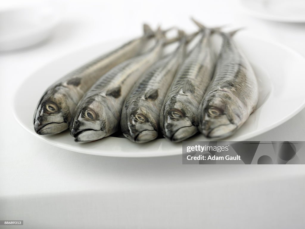 Close up of  whole, uncleaned fish on plate