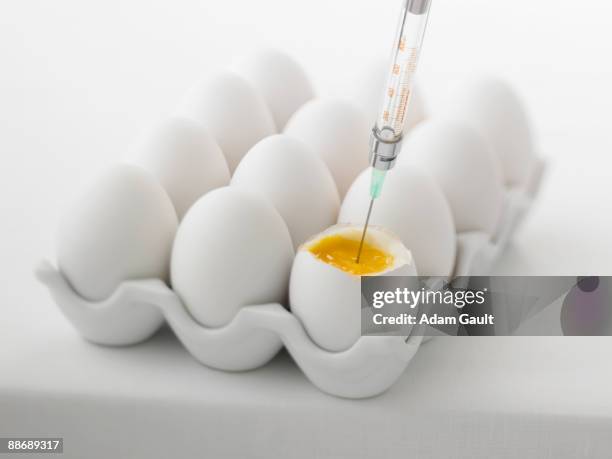 close up of syringe injecting yolk of egg - künstliche befruchtung unfruchtbarkeit stock-fotos und bilder