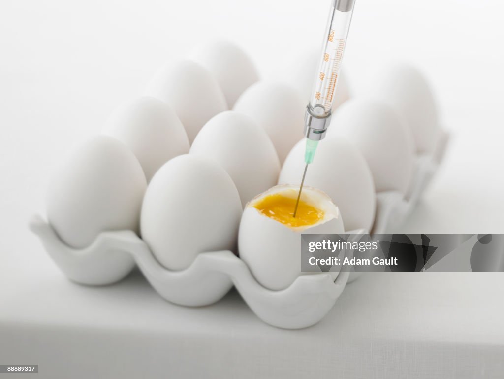 Close up of syringe injecting yolk of egg