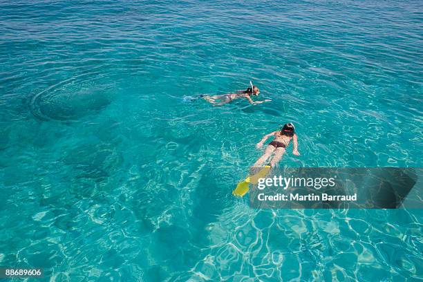 girls snorkeling in ocean - スキアトス島 ストックフォトと画像