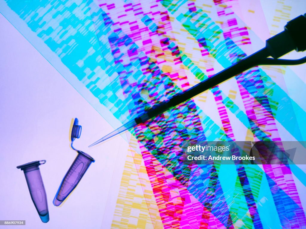 Genetic research, pipette and DNA samples on DNA autoradiogram illustrating research into life sciences and genetic modification