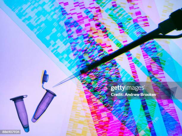 genetic research, pipette and dna samples on dna autoradiogram illustrating research into life sciences and genetic modification - dna test stock pictures, royalty-free photos & images