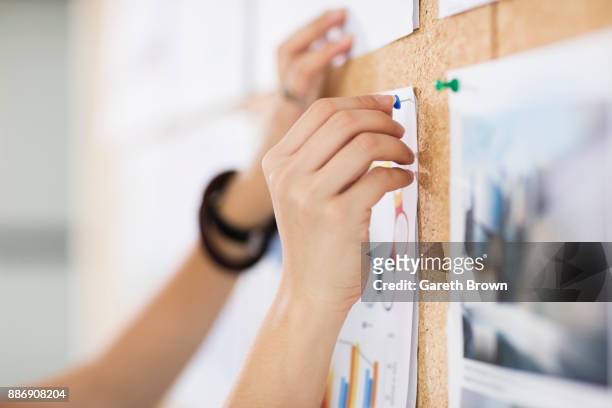 woman pinning up colour charts and graphs - anslagstavla bildbanksfoton och bilder