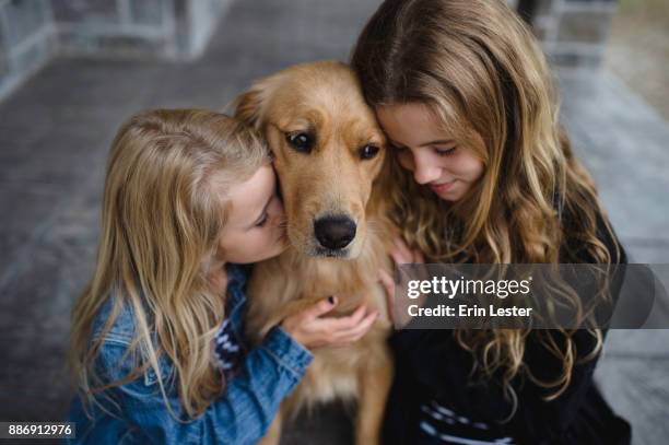 girl and her sister sitting on patio petting their golden retriever - golden retriever stock pictures, royalty-free photos & images