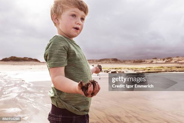 young boy on beach, holding wet sand, santa cruz de tenerife, canary islands, spain, europe - igor emmerich stock pictures, royalty-free photos & images