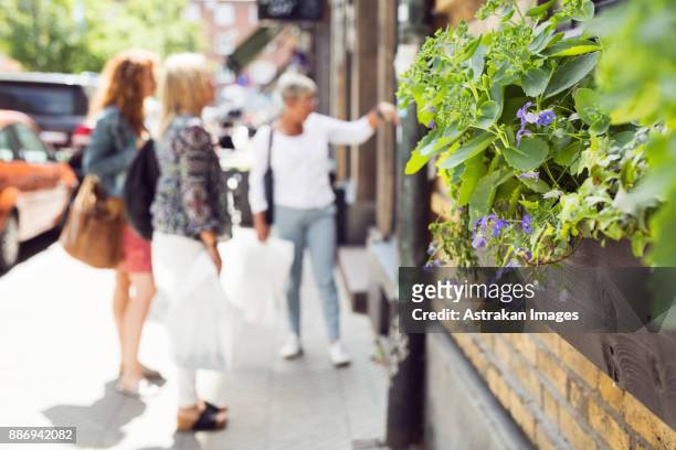 three women outside shop - entering shop stock pictures, royalty-free photos & images