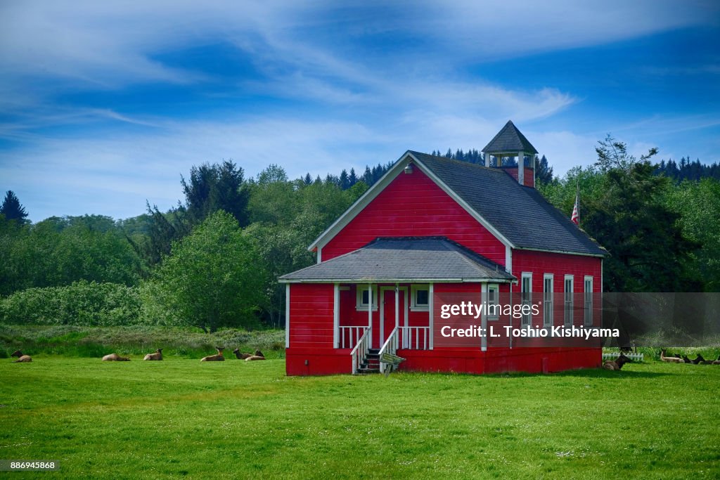 Schoolhouse and Elk in California