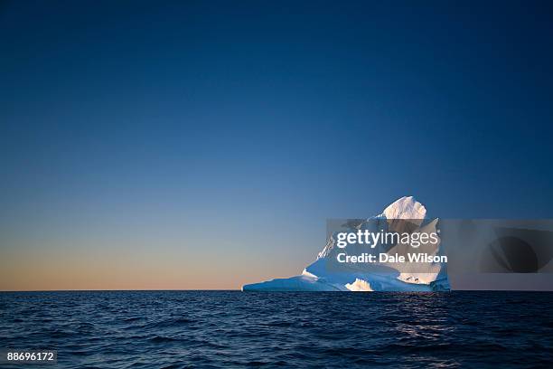 152 Mer Du Labrador Stock Photos, HighRes Pictures, and Images Getty