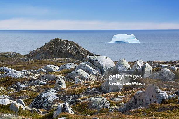 iceberg and landscape - bonavista bay stock pictures, royalty-free photos & images