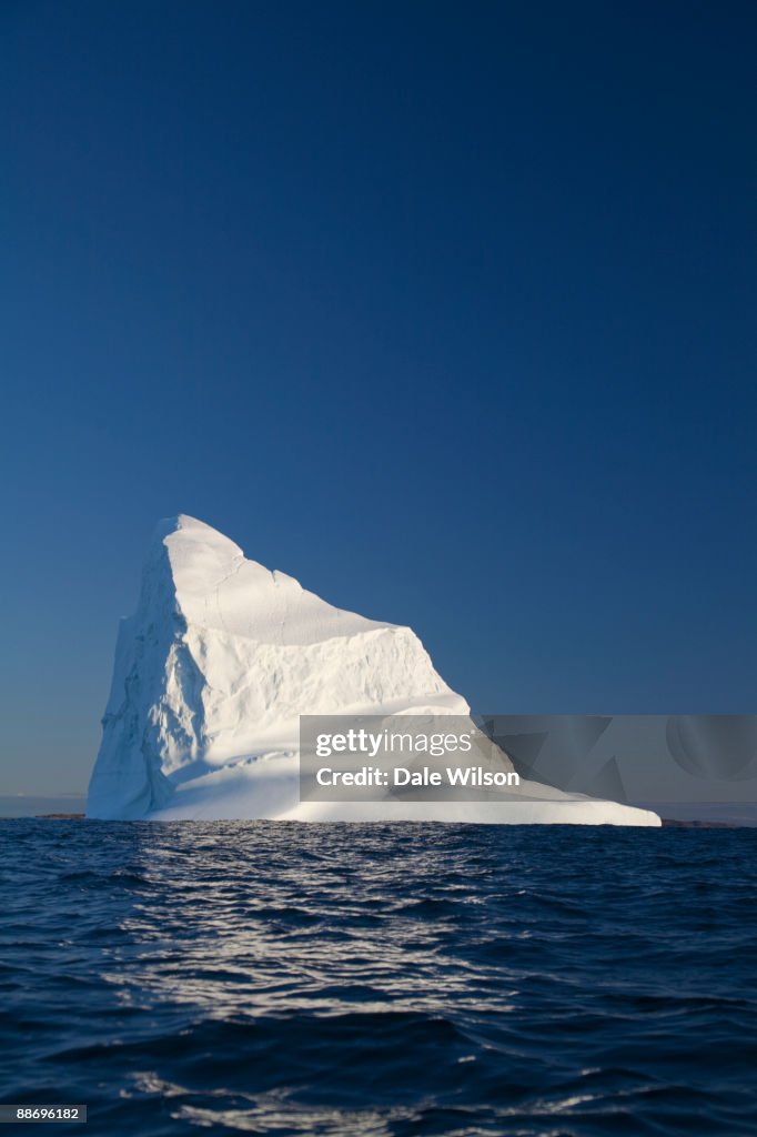 Iceberg