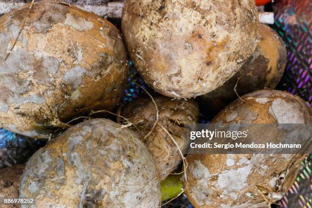 jícama fruit in a market in tlalpan - mexico city, mexico - jicama stock pictures, royalty-free photos & images