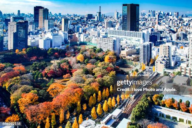tokyo city view - honshu stock pictures, royalty-free photos & images