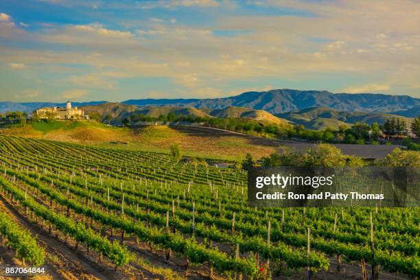 vignoble de printemps de californie dans la vallée de temecula, ca - temecula-california photos et images de collection