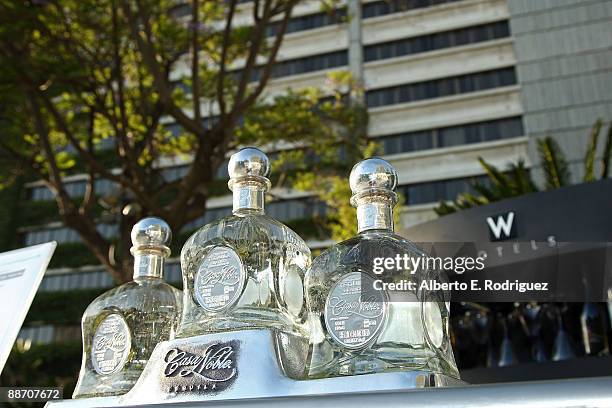 General atmosphere at the 2009 Los Angeles Film Festival's Filmmaker Reception at the W Hotel Westwood on June 22, 2009 in Westwood, Los Angeles,...