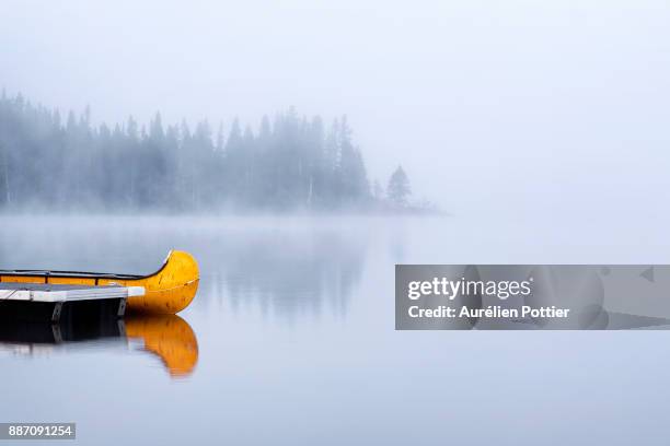 lac cascapédia, misty morning - parc national de la gaspésie stock pictures, royalty-free photos & images