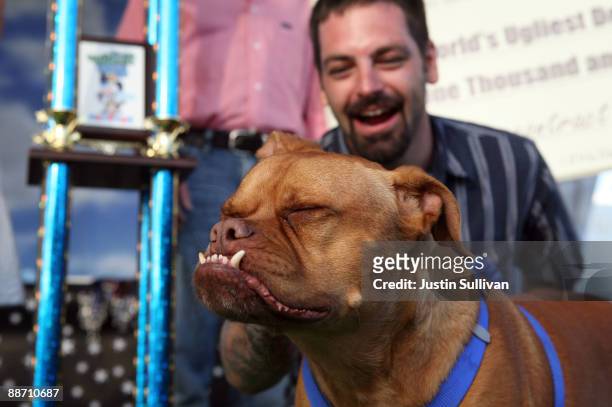 Miles Egstad of Citrus Heights, California, stands with his dog Pabst, a boxer mix, after winning the 21st Annual World's Ugliest Dog Contest at the...
