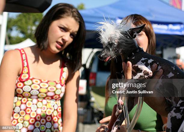 People react as they look at Rascal, a Chinese Crested, before the start of the 21st Annual World's Ugliest Dog Contest at the Sonoma-Marin Fair June...