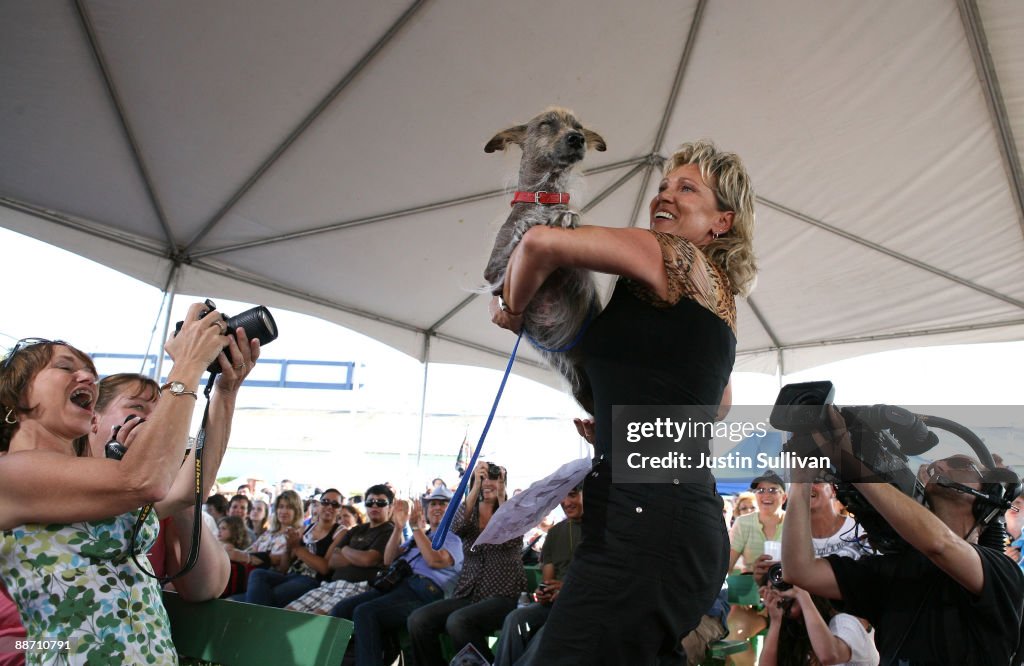 The Annual Ugliest Dog Contest Held At Sonoma-Marin Fair