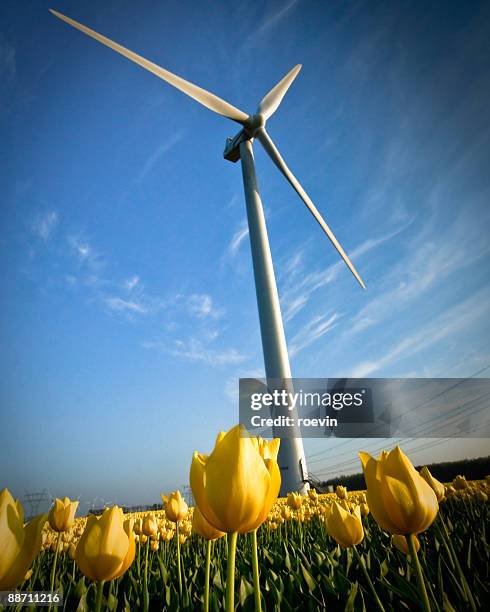 wind energy - roevin stock pictures, royalty-free photos & images