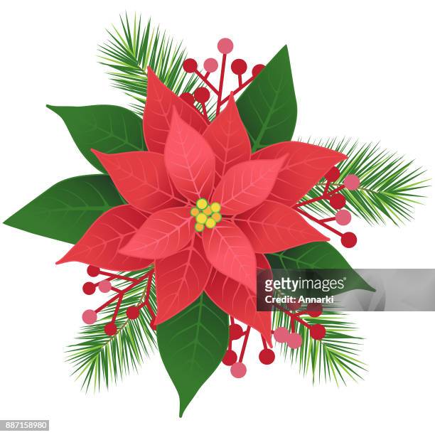 26 Ilustraciones de Christmas Flower Bouquet - Getty Images