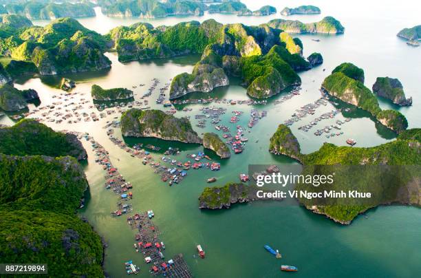 cai beo floating village, cat ba island from above - ha long bay fotografías e imágenes de stock