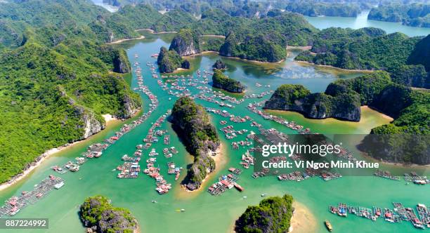 cai beo floating village, cat ba island from above - ha long bay fotografías e imágenes de stock