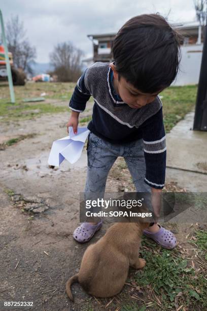 An Afghan child refugee plays with a puppy in a Serbian refugee camp. With Hungary and Croatia stopping refugees crossing the borders into the EU,...