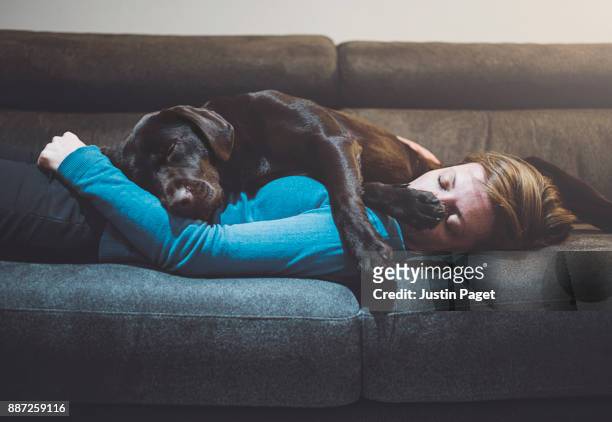 pet dog asleep on woman - hugging animals foto e immagini stock