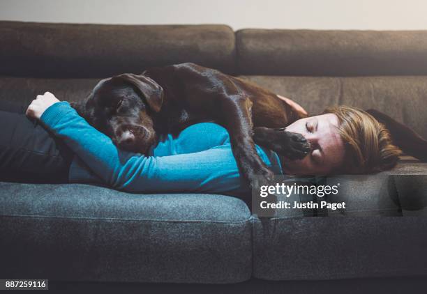 pet dog asleep on woman - women sleeping stockfoto's en -beelden