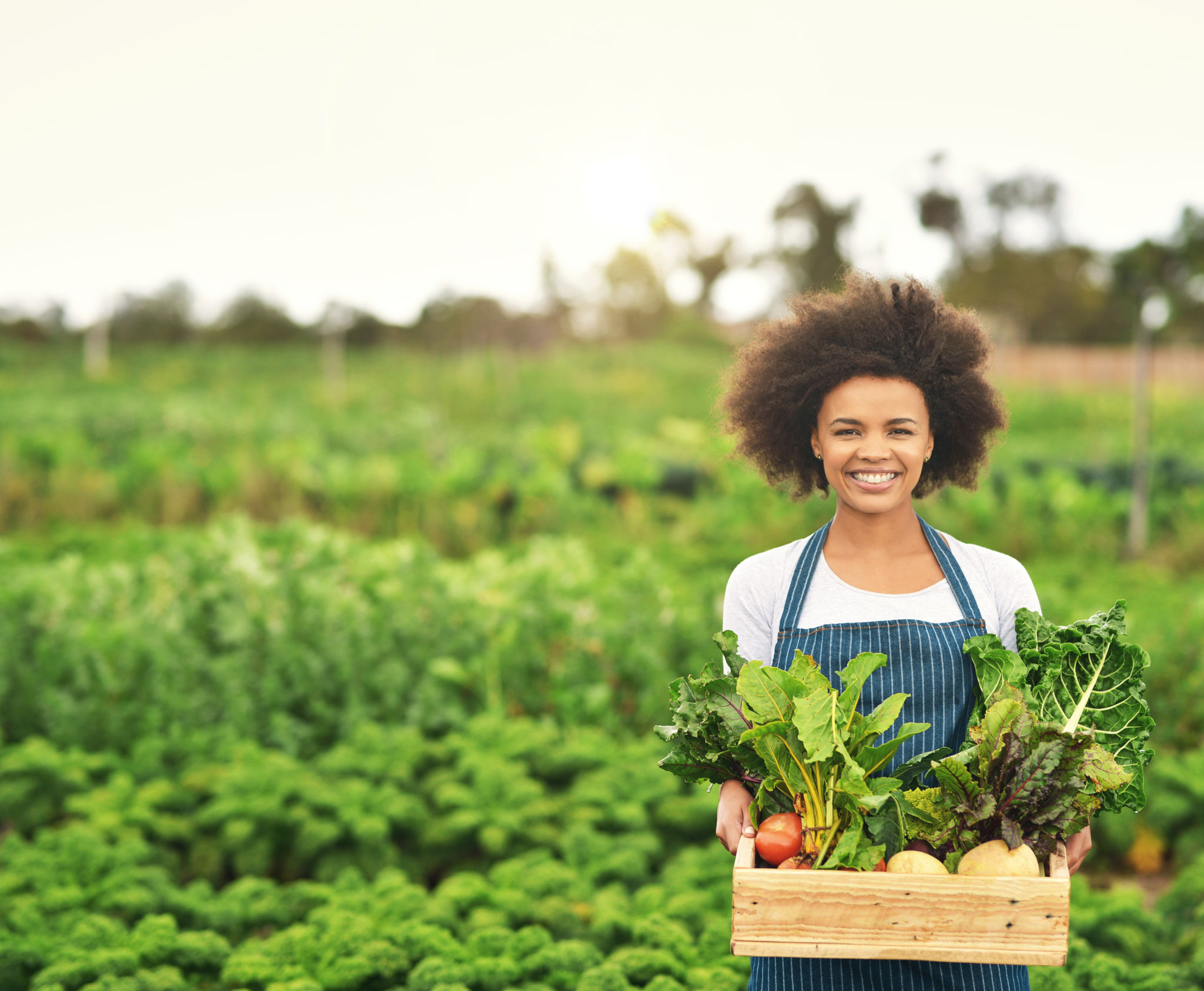 organic farming
