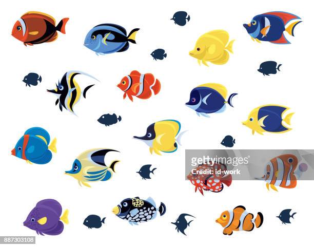 熱帯魚のグループ - anemonefish点のイラスト素材／クリップアート素材／マンガ素材／アイコン素材