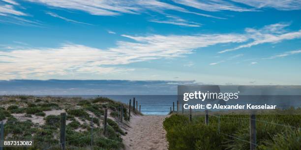 cronulla beach moods - alexander kesselaar stock-fotos und bilder