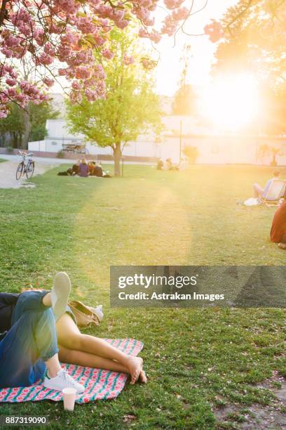 people resting in park - malmo stock pictures, royalty-free photos & images
