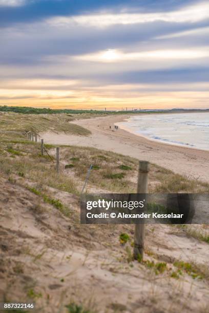 cronulla beach moods - alexander kesselaar stock pictures, royalty-free photos & images