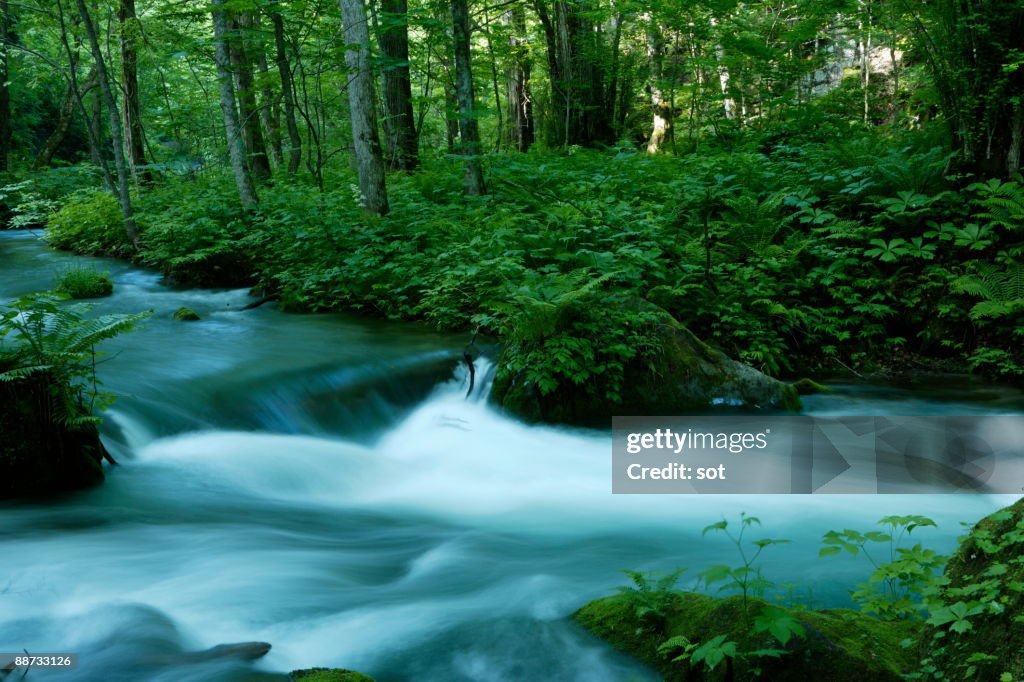 Oirase river, Aomori Prefecture, Japan