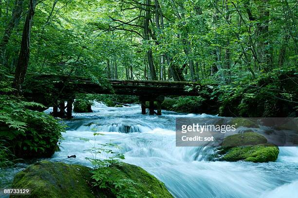 oirase river, aomori prefecture, japan - prefeitura de aomori imagens e fotografias de stock