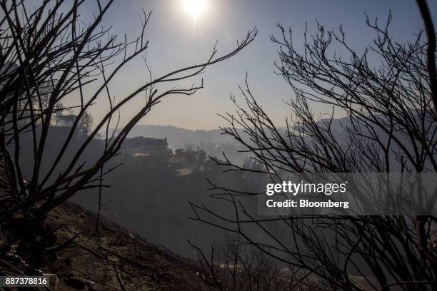 Homes stand among burnt vegetation during the Skirball Fire in the Bel Air neighborhood of Los Angeles, California, U.S., on Wednesday, December 6,...