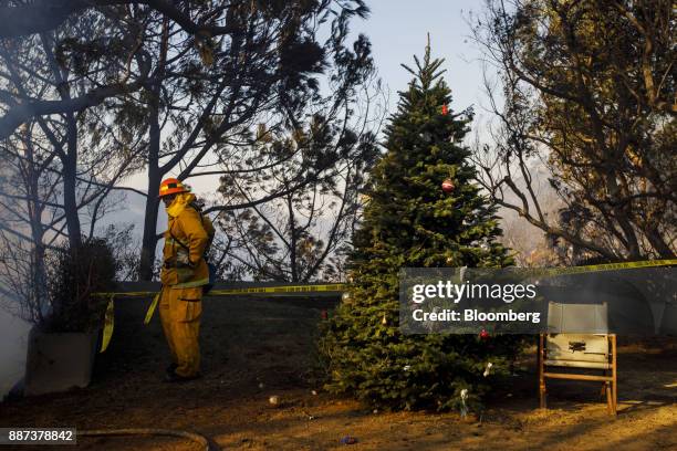 Firefighter stands beside a Christmas tree rescued from a burning home during the Skirball Fire in the Bel Air neighborhood of Los Angeles,...