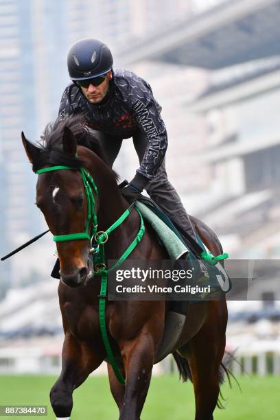 Mirco Demuro riding Kiseki from Japan during a Longines Hong Kong International Trackwork Session at Sha Tin racecourse on December 7, 2017 in Hong...