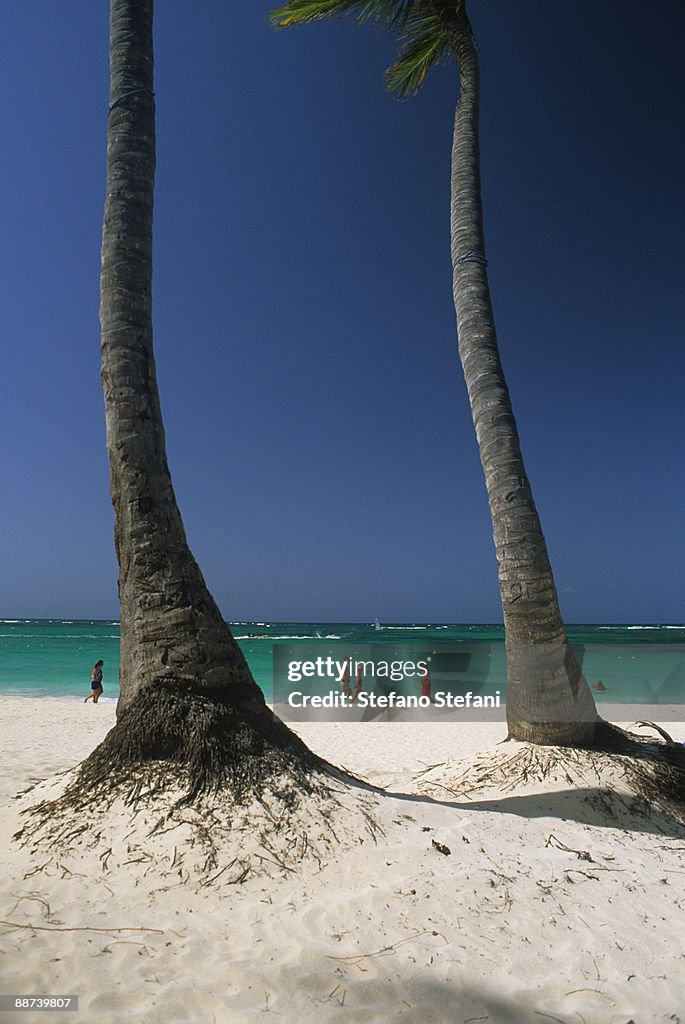 Dominican Republic, Saona Island beach