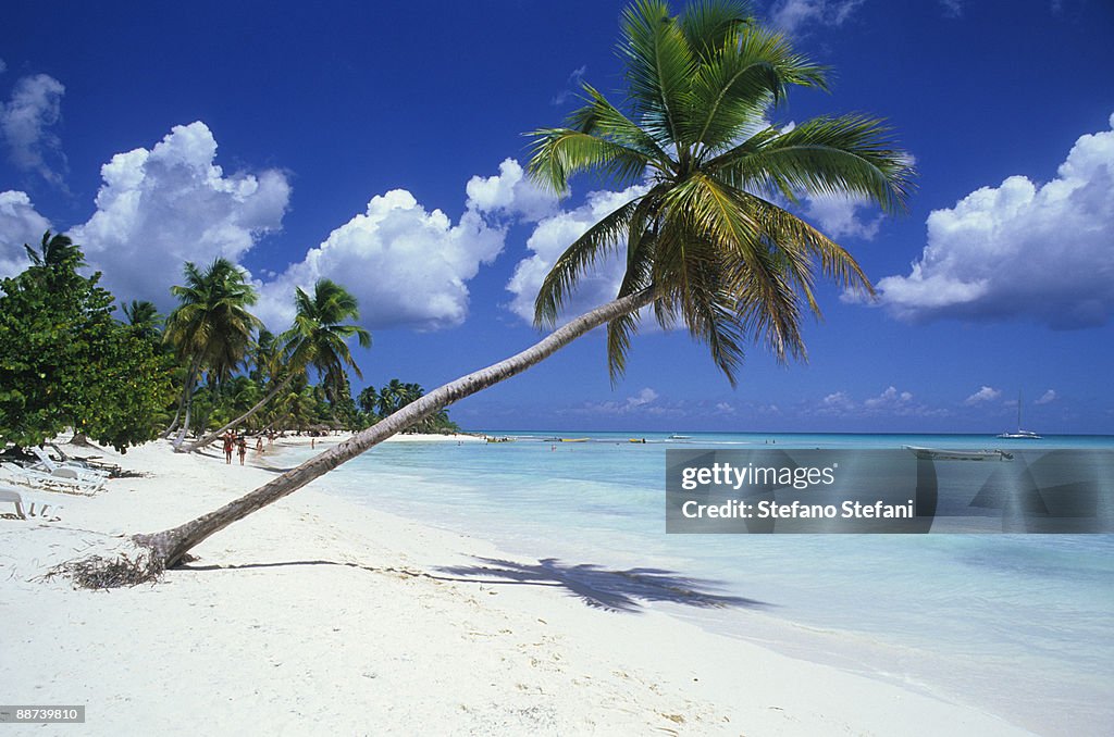Dominican Republic, white beach